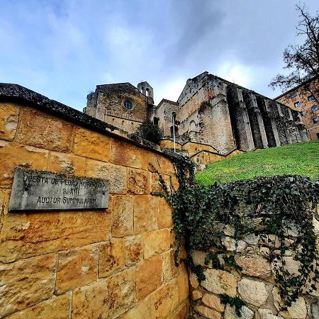 Apartamento Medieval En El Camino De Santiago Estella Eksteriør bilde